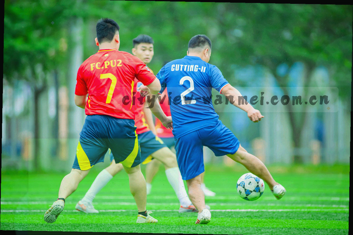 辽宁地图抽象点阵与连线示意，荧光黄绿标记重点城市节点，不显示真实地理边界